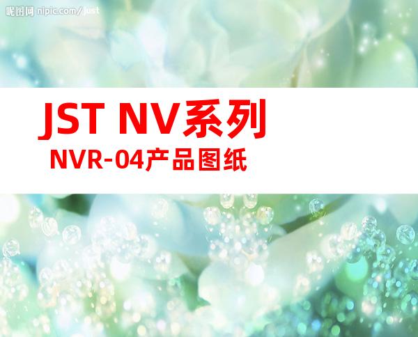 JST NV系列 NVR-04产品图纸